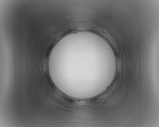 X0000112900419200908211054