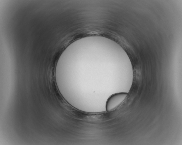 X0000112900422200908211054