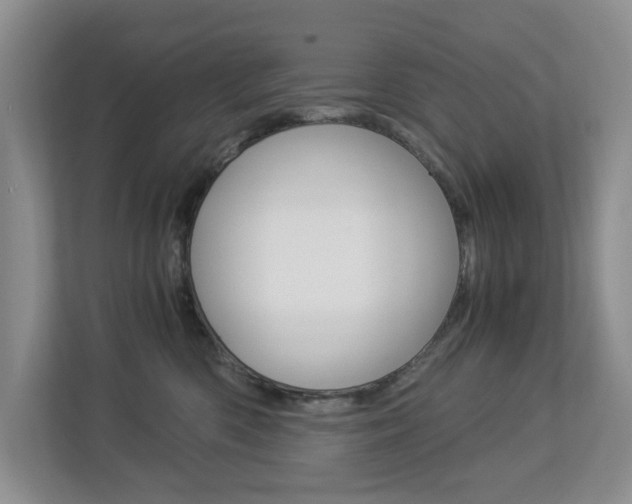 X0000112900426200908211054