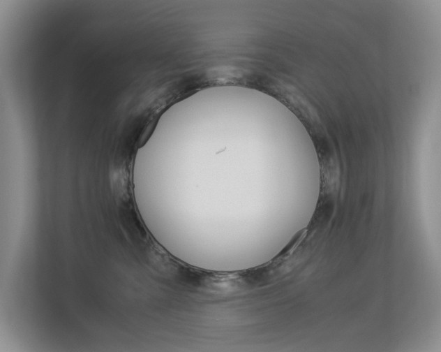 X0000112900427200908211054