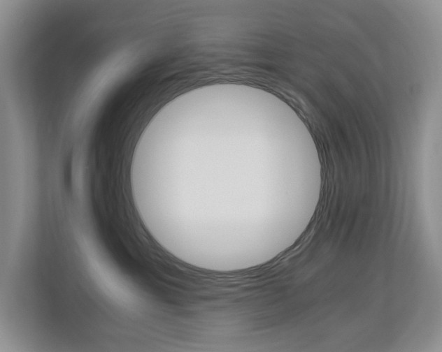 X0000112900429200908211054