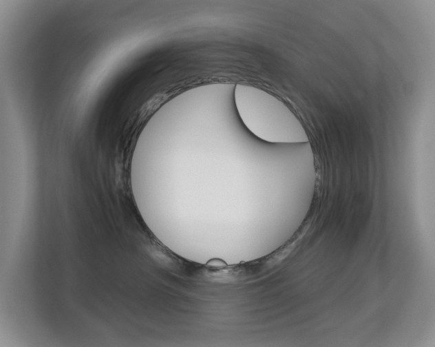 X0000112900430200908211054