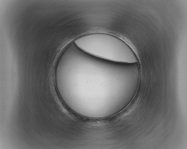 X0000112900433200908211053