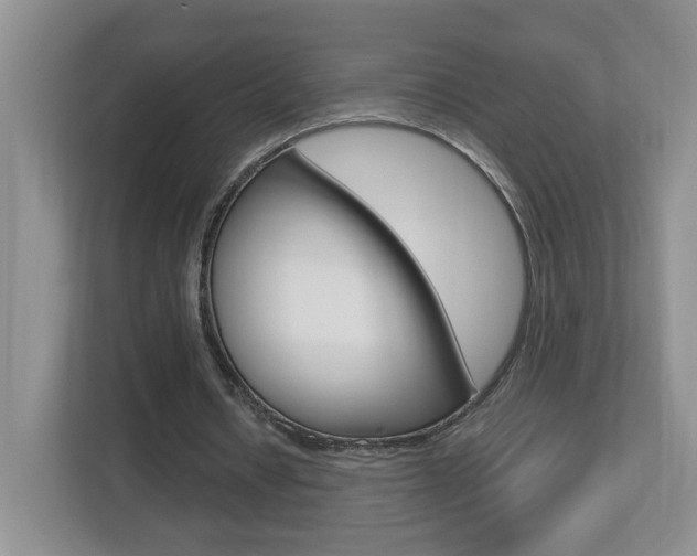 X0000112900434200908211053