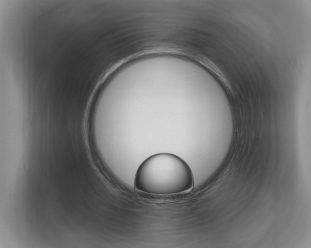 X0000112900436200908211053