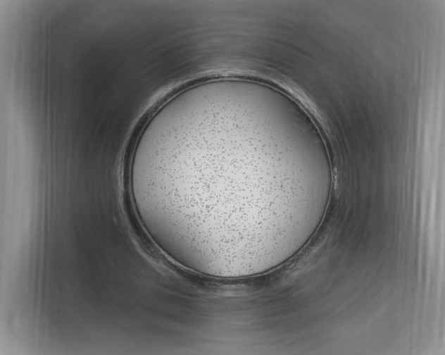 X0000112900438200908211053