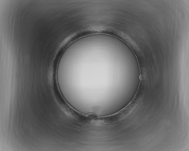 X0000112900440200908211053