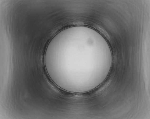 X0000112900441200908211053