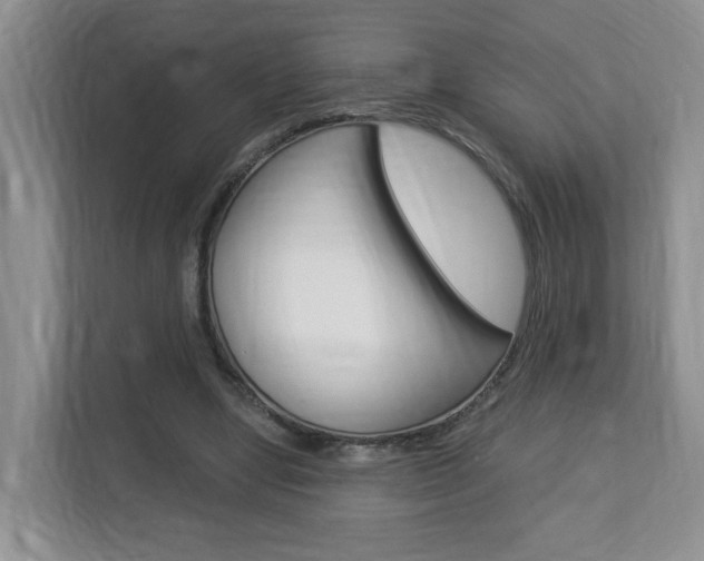 X0000112900442200908211053