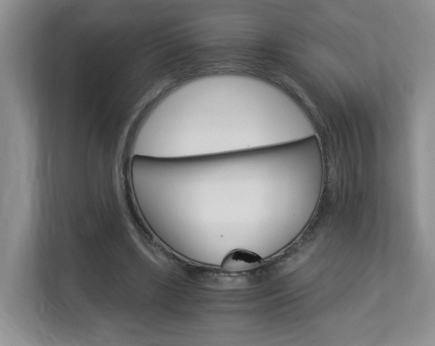 X0000112900443200908211053