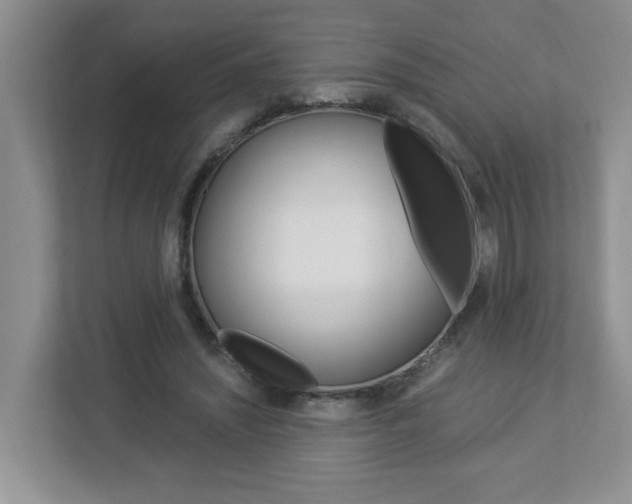 X0000112900444200908211053