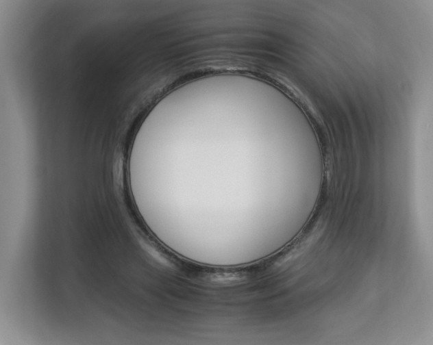 X0000112900445200908211053