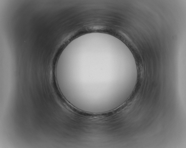 X0000112900447200908211053