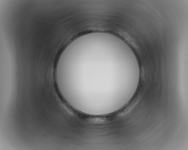 X0000112900449200908211053
