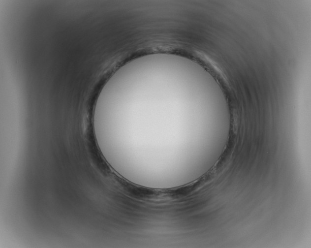X0000112900451200908211053