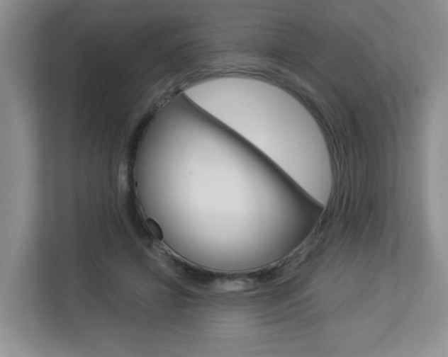 X0000112900452200908211053