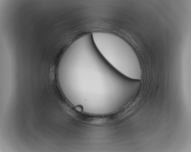 X0000112900458200908211054