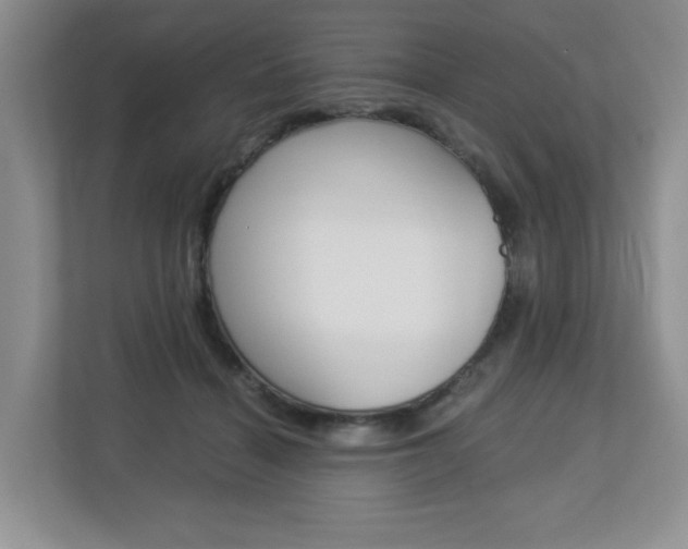 X0000112900460200908211054