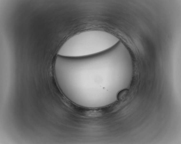X0000112900465200908211054