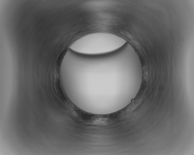 X0000112900471200908211054