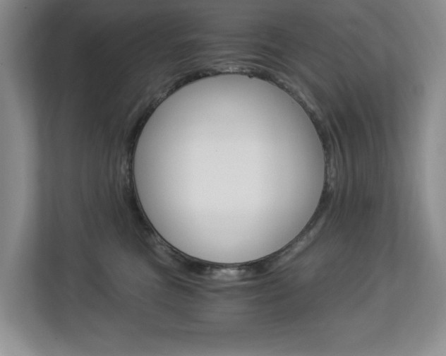 X0000112900473200908211054