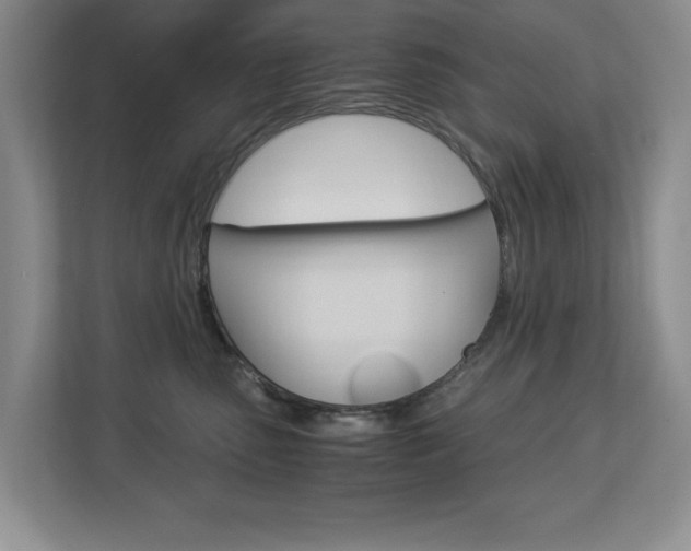 X0000112900475200908211054