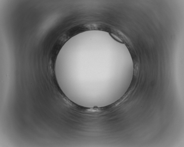 X0000112900477200908211054