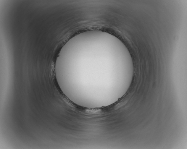 X0000112900480200908211054
