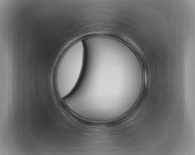 X0000112900483200908211053
