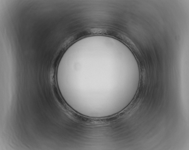 X0000112900490200908211053