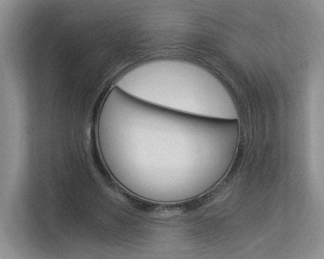 X0000112900491200908211053