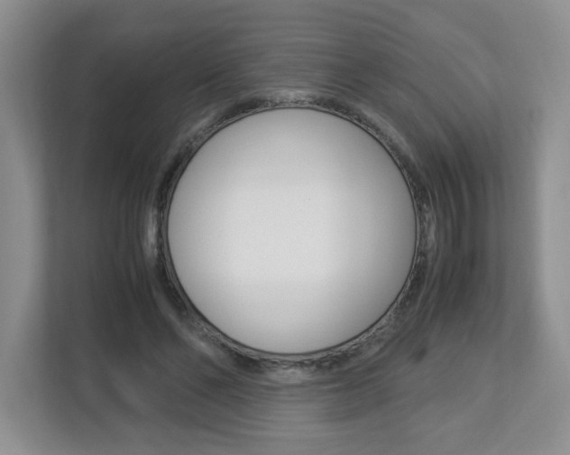X0000112900494200908211053