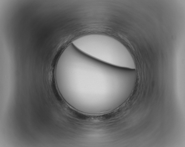 X0000112900495200908211053