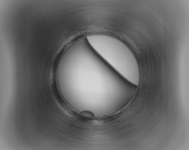 X0000112900496200908211053