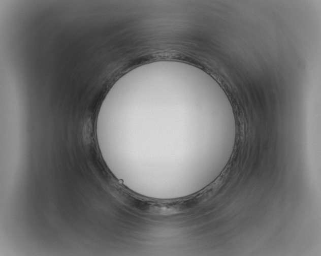X0000112900498200908211053