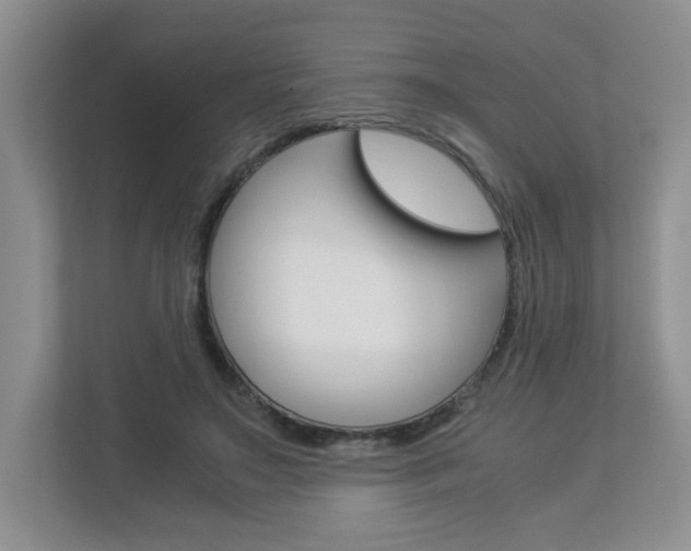 X0000112900499200908211053