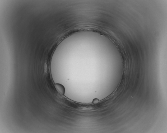 X0000112900500200908211053