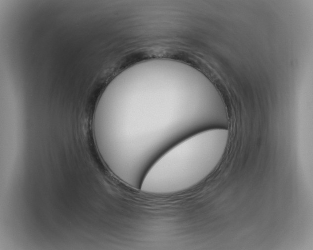X0000112900503200908211053