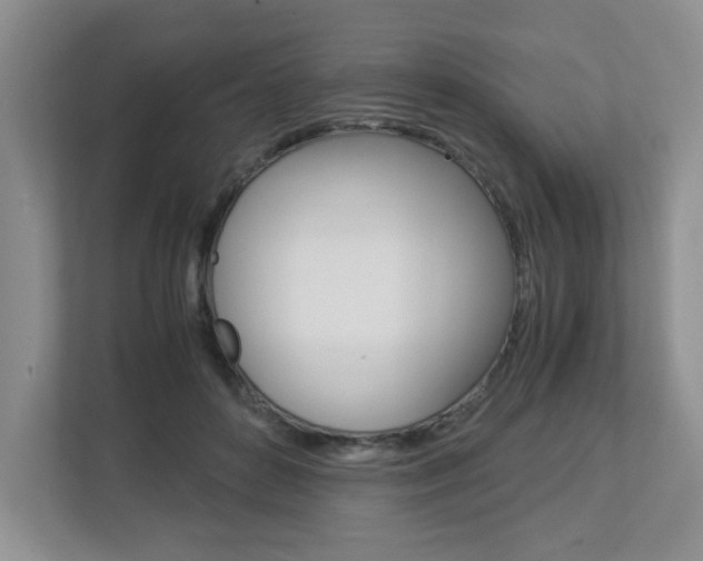 X0000112900504200908211053