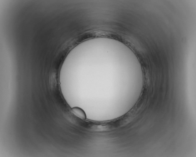 X0000112900506200908211053
