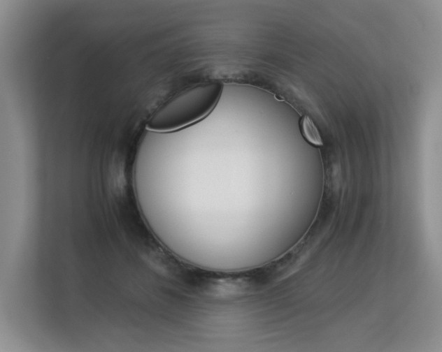 X0000112900508200908211053