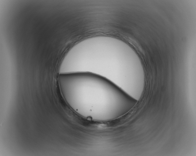 X0000112900509200908211053