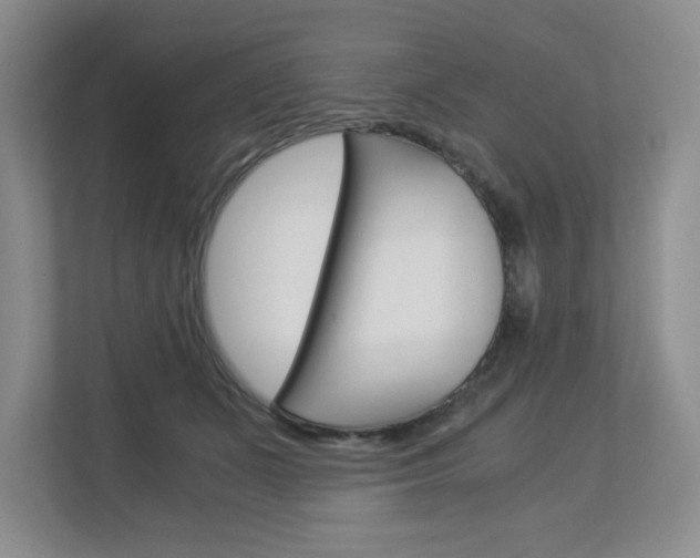 X0000112900511200908211053