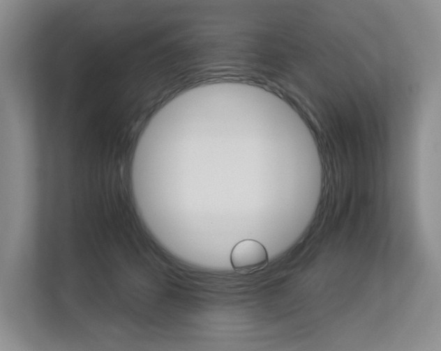 X0000112900512200908211053