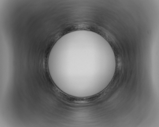 X0000112900514200908211053