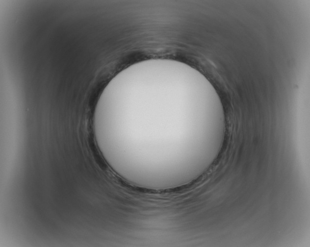 X0000112900515200908211053