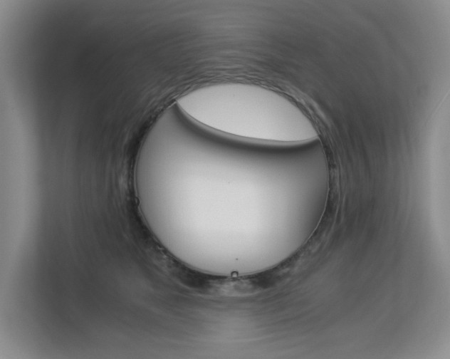 X0000112900517200908211053