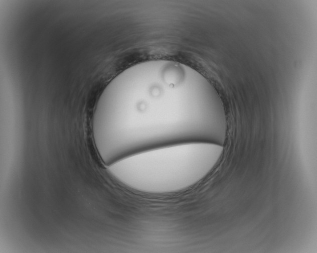 X0000112900519200908211053