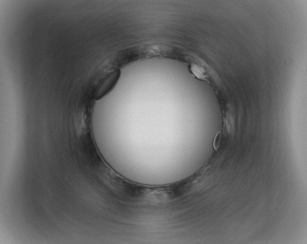 X0000112900520200908211053