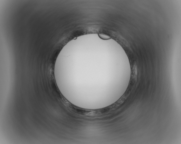 X0000112900522200908211053